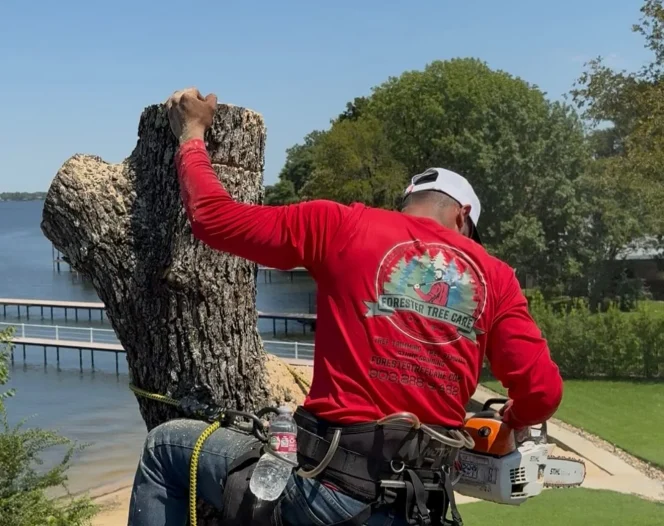 Forester Tree Care 44