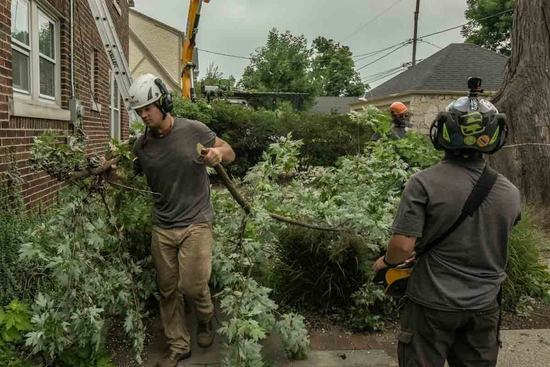 Forester Tree Care 5