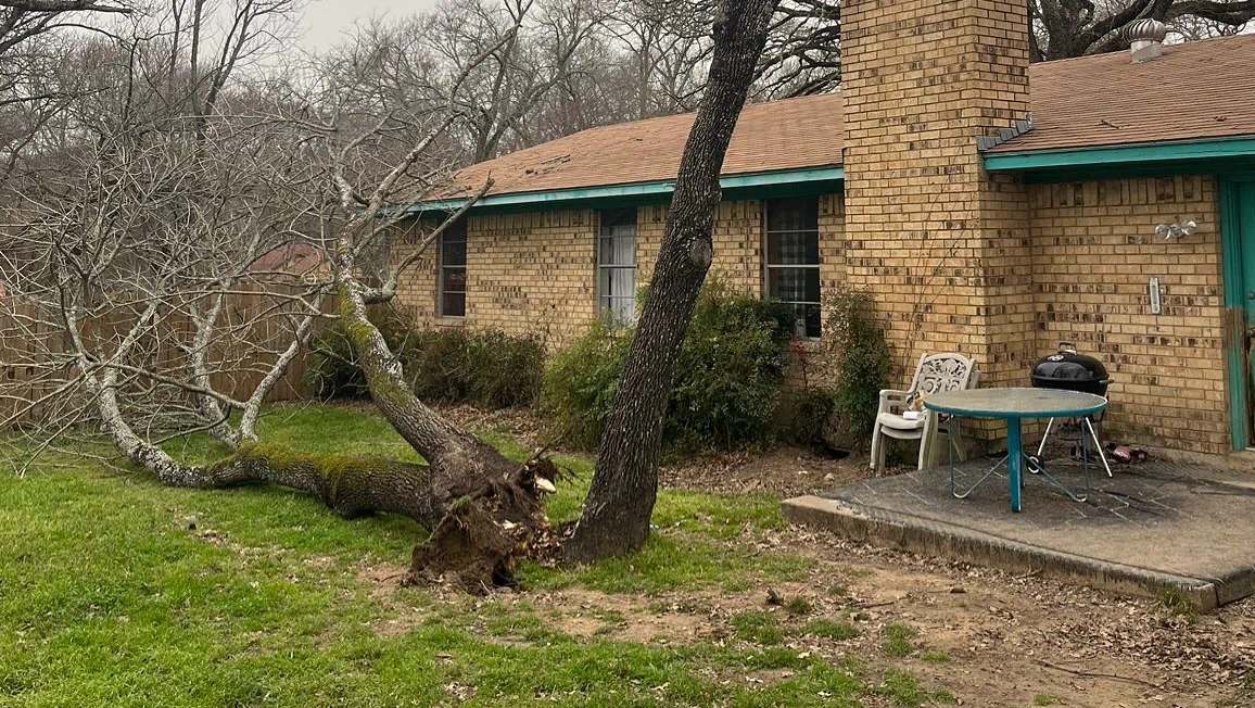 Tree Removal Service, Based in Tool, TX and serving the Cedar Creek Lake Area (1) Tree Removal Service, Based in Tool, TX and serving the Cedar Creek Lake Area (1)