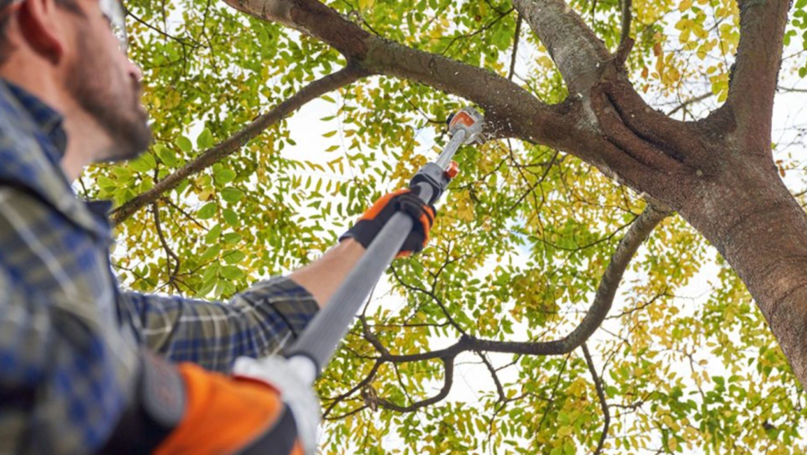 Tree Trimming and Pruning, Based in Tool, TX and Serving the Cedar Creek Lake Area (1) Tree Trimming and Pruning, Based in Tool, TX and Serving the Cedar Creek Lake Area (1)