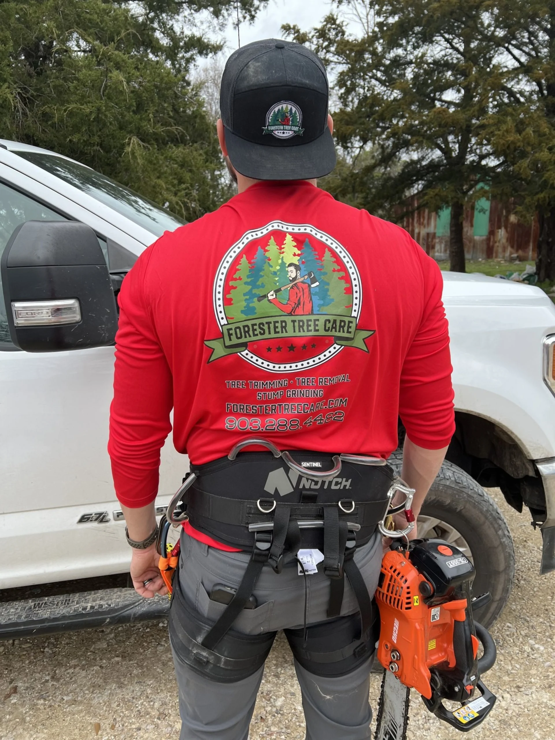 Professional Christmas Light Installation & Take Down